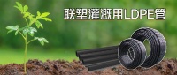 绿色又健康！农作物茁壮成长的秘密在这里